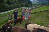 Die ganze Familie ist gerne im Grünen bei den Schafen unterwegs. © Kirfel