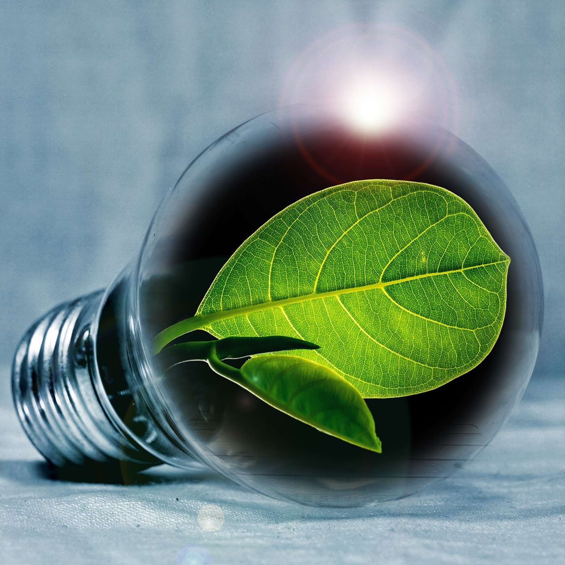 Glühbirne © pixabay Glühbirne © pixabay