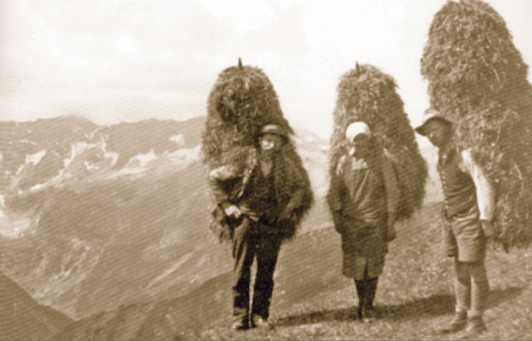 Mit Furgeln wurde das Heu aus besonders steilem Gelände getragen. © Archiv/Standl