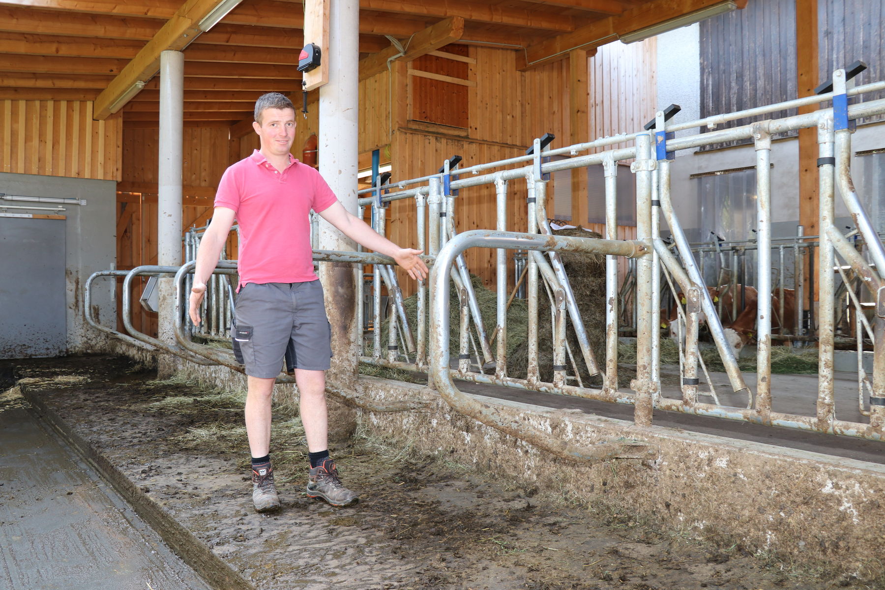 Familie Schuller baute Bio Milchviehstall für 23 Kühe © Paula Pöchlauer-Kozel/LK Niederösterreich