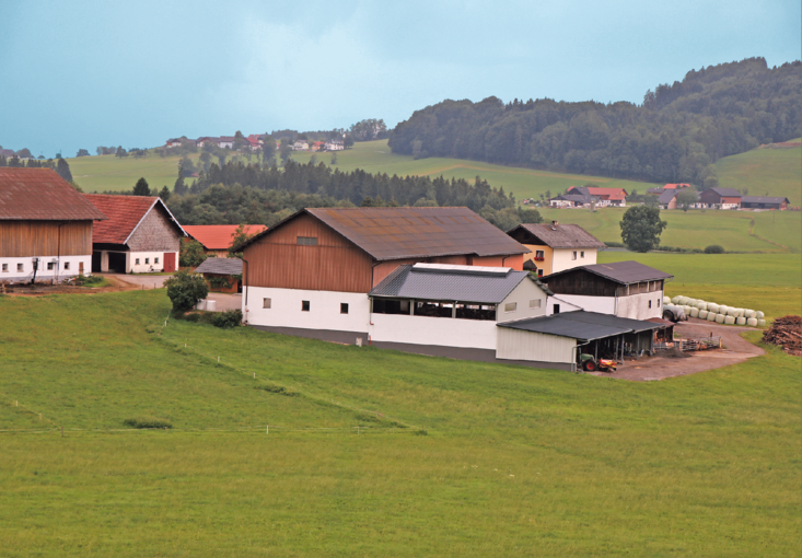 Die Stallgebäude sind in Stufenbauweise aandergereiht. © Kronreif