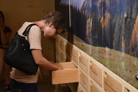 Spielerisch erhalten die Besucher Antworten auf Fragen rund um Ziegen, Kühe und Landwirtschaft. © LK Kärnten/Friederike Parz Spielerisch erhalten die Besucher Antworten auf Fragen rund um Ziegen, Kühe und Landwirtschaft. © LK Kärnten/Friederike Parz