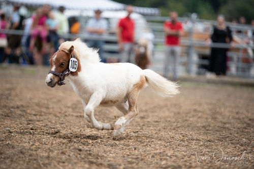 Schoder Brach Alle Rekorde Landwirtschaftskammer Aktuelles Schoder Brach Alle Rekorde Landwirtschaftskammer Aktuelles