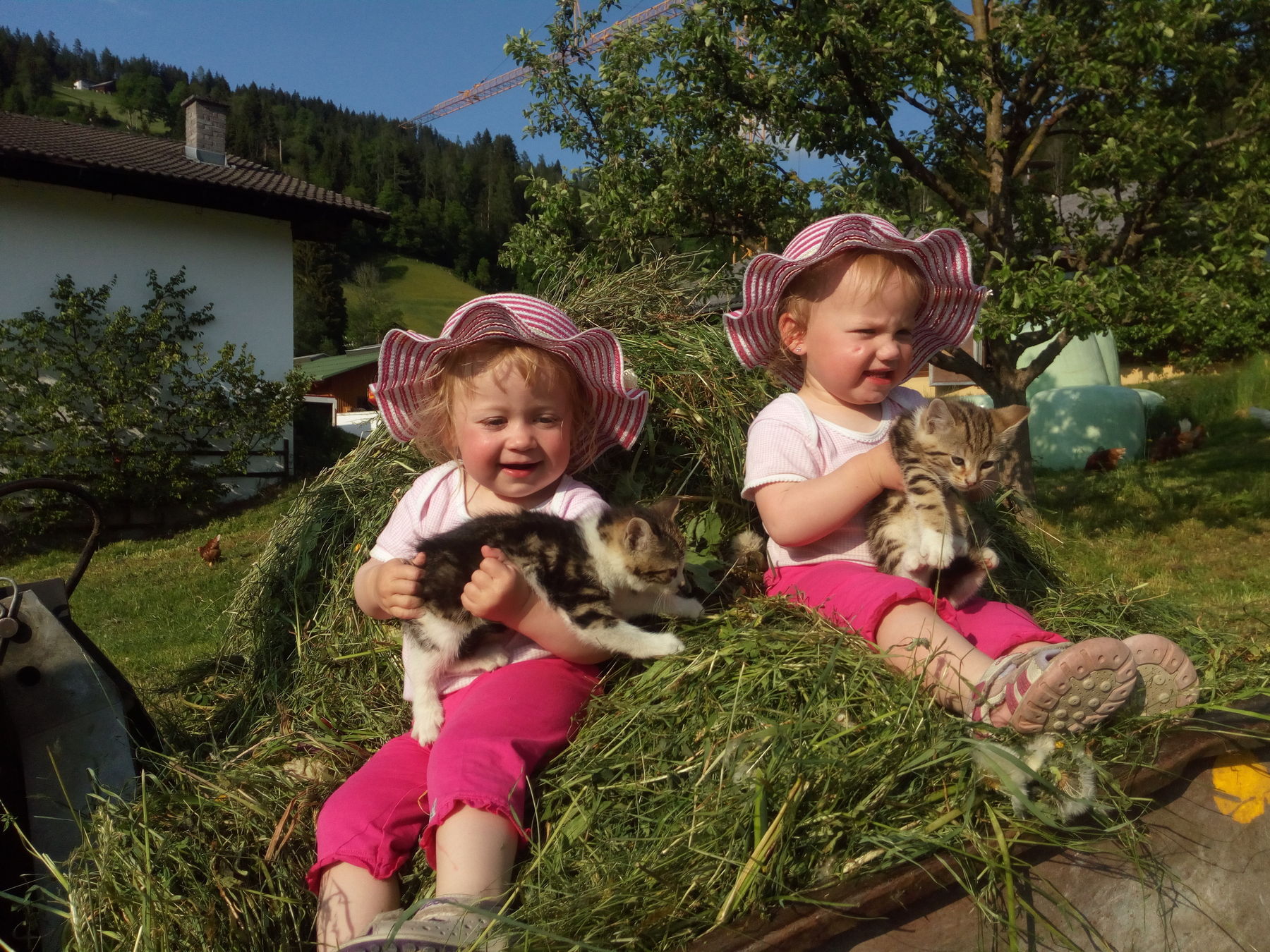 © Salzburger Bauer/Habersatter © Salzburger Bauer/Habersatter