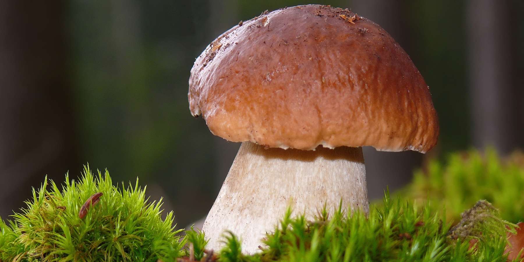 © Rosel Eckstein_pixelio.de © Rosel Eckstein_pixelio.de