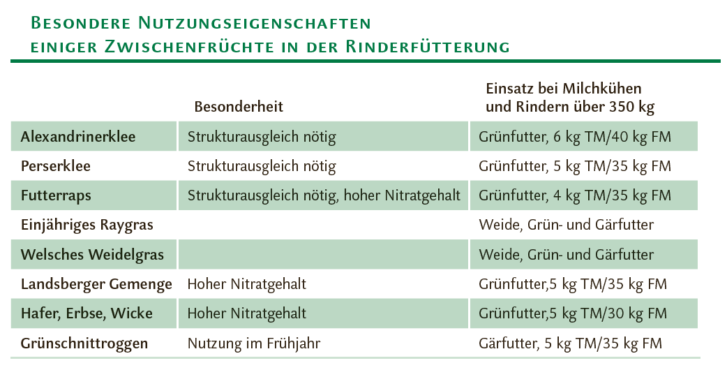 Besondere Nutzungseigenschaften
einiger Zwischenfrüchte in der Rinderfütterung © LK Kärnten/Wolfgang Stromberger