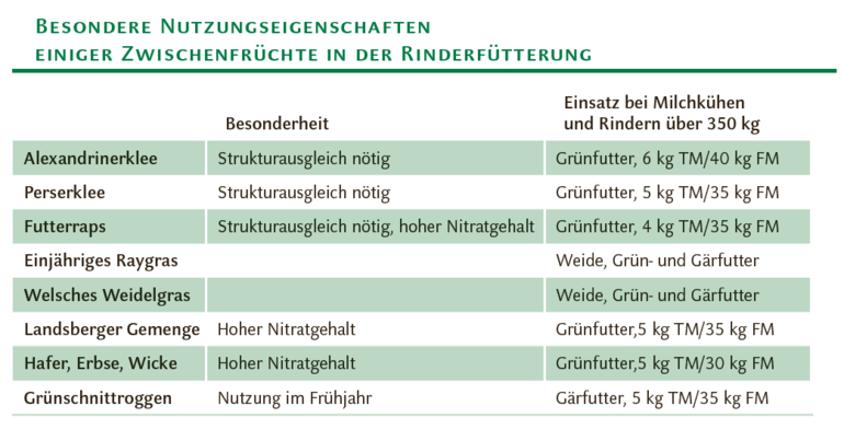 Besondere Nutzungseigenschaften
einiger Zwischenfrüchte in der Rinderfütterung © LK Kärnten/Wolfgang Stromberger Besondere Nutzungseigenschaften
einiger Zwischenfrüchte in der Rinderfütterung © LK Kärnten/Wolfgang Stromberger