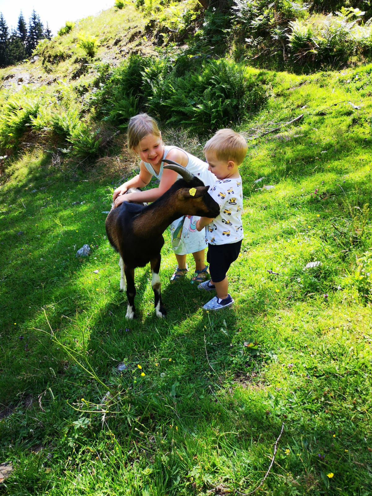 © Salzburger Bauer/Viehhauser © Salzburger Bauer/Viehhauser