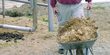 © Landwirtschaftskammer Oberösterreich/Gangl © Landwirtschaftskammer Oberösterreich/Gangl