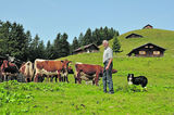 Klaus Vitzthum ist mit der Almwirtschaft und seinem Götzkaser am Schwarzegg in Unken stark verwurzelt. © Mooslechner