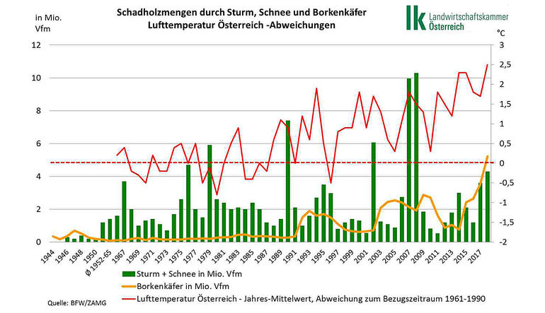 Die Klimaerwärmung ist Triebfeder für die massive Steigerung des Borkenkäferholzanfalls. © LK Österreich Die Klimaerwärmung ist Triebfeder für die massive Steigerung des Borkenkäferholzanfalls. © LK Österreich