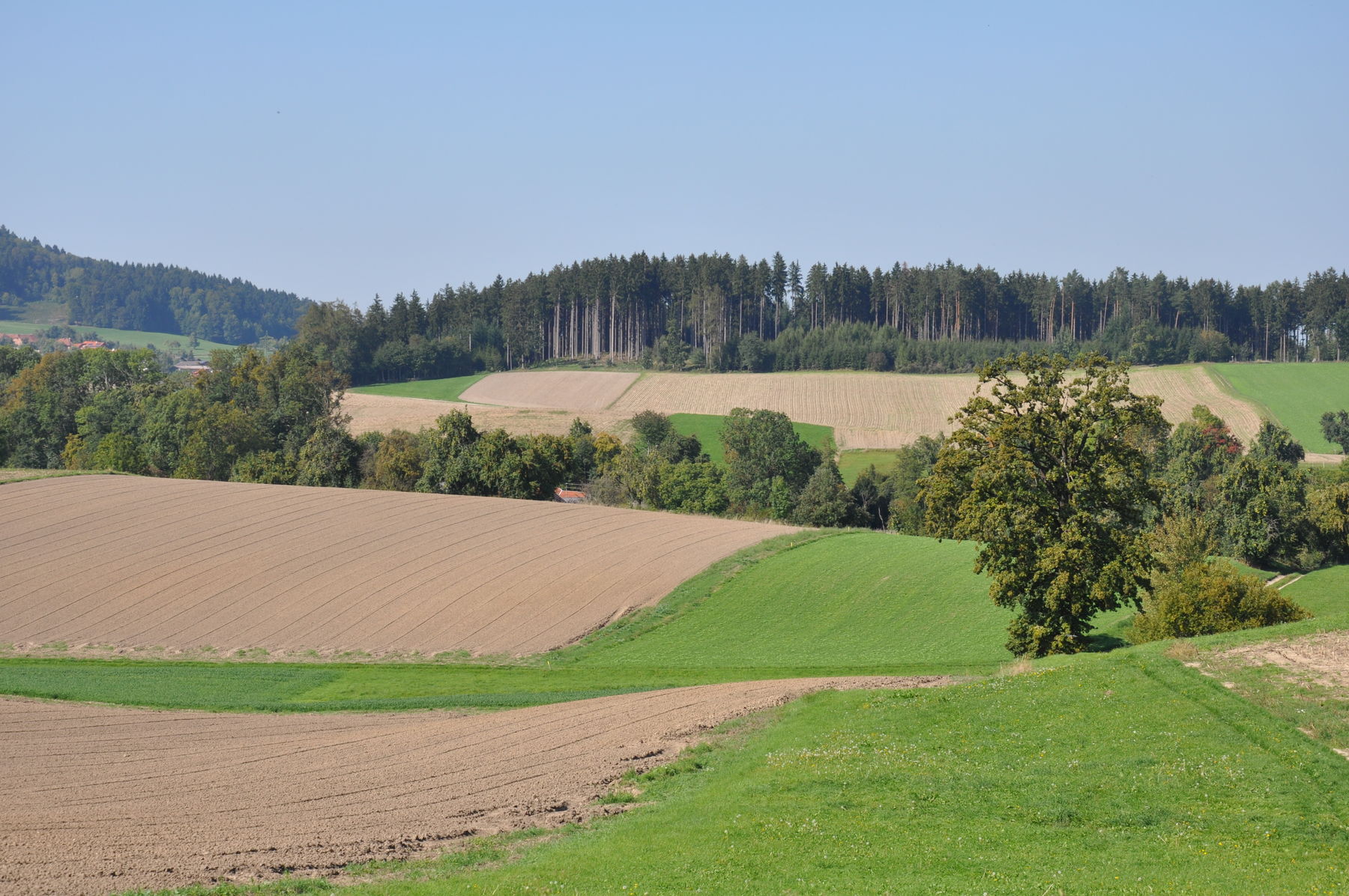 © LK OÖ/Peterseil © LK OÖ/Peterseil