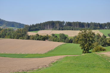 © LK OÖ/Peterseil © LK OÖ/Peterseil