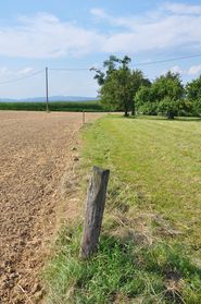 © Josef Peterseil/LK Oberösterreich