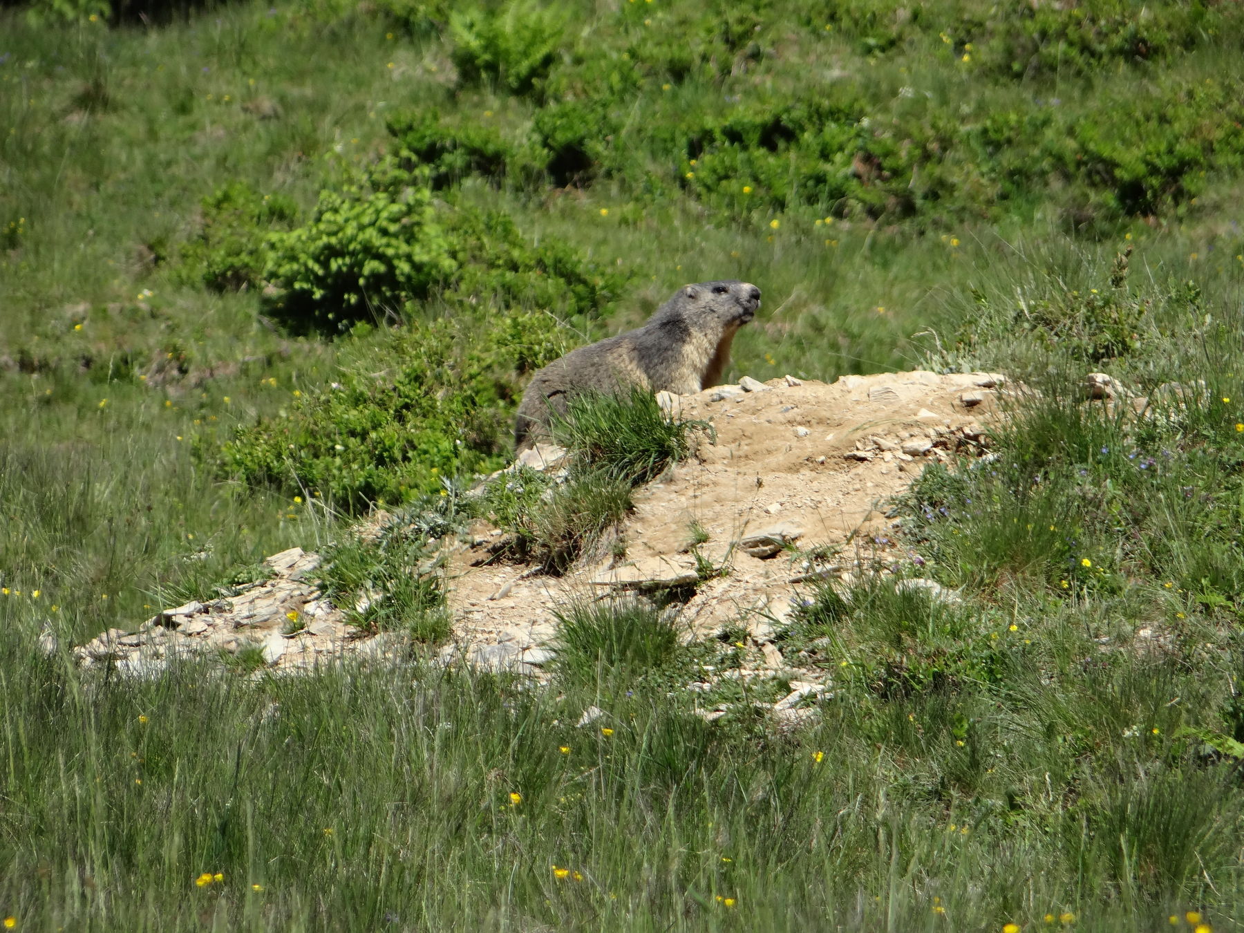 © Salzburger Bauer/Fürstauer-Reiter © Salzburger Bauer/Fürstauer-Reiter