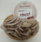 Der erste Biopilzbetrieb in Kärnten: Für dieses innovative Betriebskonzept erhielt Familie Jäger beim Vifzack 2018 den dritten Platz. © Jäger Der erste Biopilzbetrieb in Kärnten: Für dieses innovative Betriebskonzept erhielt Familie Jäger beim Vifzack 2018 den dritten Platz. © Jäger