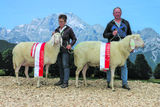 Landessieger Tiroler Bergschafe v. l.: Schafe über 3 Jahre von Josef Kirchner; Schafe unter 3 Jahre von Erik Bergmann © Sendlhofer