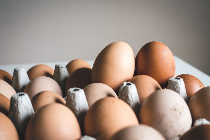 Heimische Eierproduktion als Musterbeispiel für Nachhaltigkeit  © Unsplash/Jakub Kapusnak