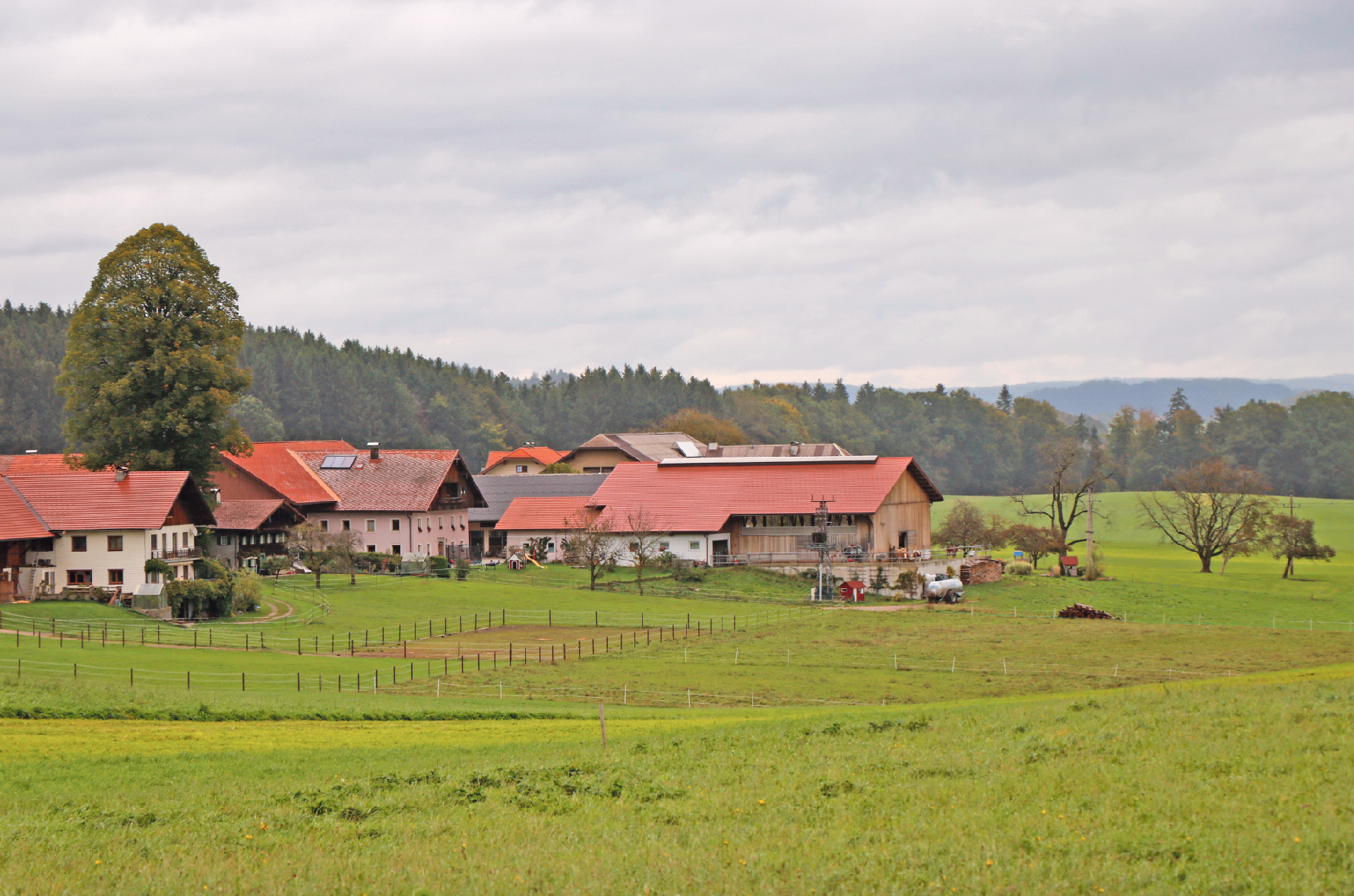 Im neuen Stall sorgen die Gebäudehöhe, die Hebefenster und die Curtains für ein äußerst angenehmes Stallklima. © Kronreif