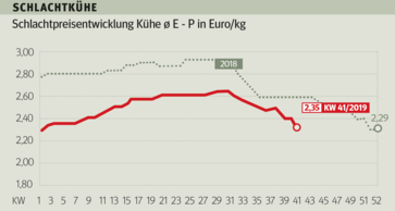 Schlachtrinderpreise aktuell