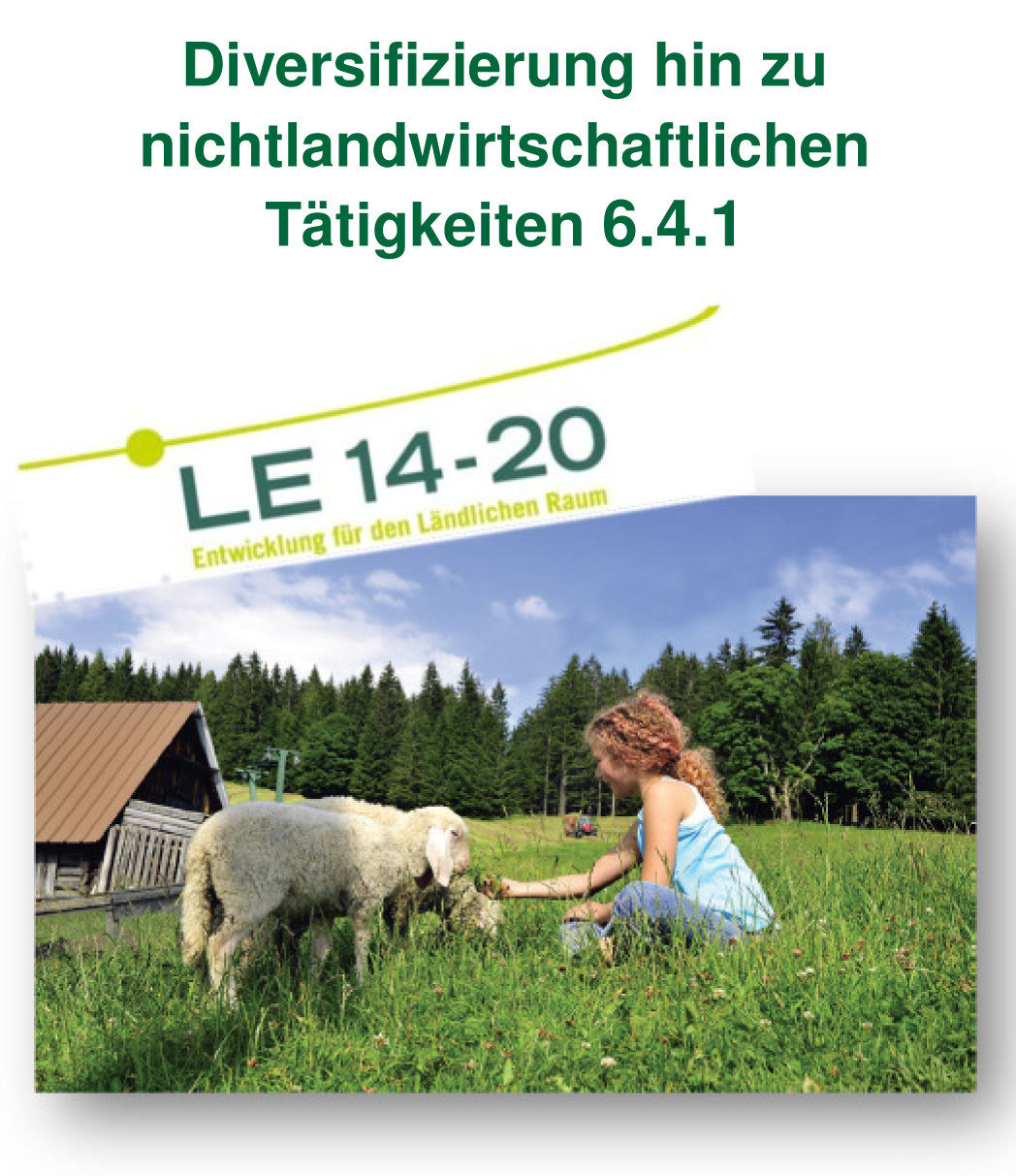 Infofolder 6.4.1 © LK Steiermark