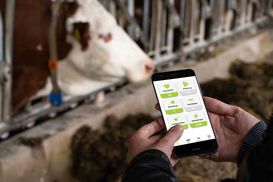 Sensor im Vormagensystem prüft kontinuierlich die Körperinnentemperatur sowie die Bewegungsaktivität der Kühe. © smaXtec Sensor im Vormagensystem prüft kontinuierlich die Körperinnentemperatur sowie die Bewegungsaktivität der Kühe. © smaXtec