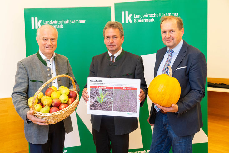 Durchwachsene Ernte 2019 ? Wetterextreme haben die Vegetationsperiode geprägt. Im Bild: v.l.n.r. Landesrat Johann Seitinger, Präsident Franz Titschenbacher und Kammerdirektor Werner Brugner © LK-Danner