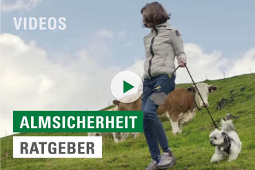 video_substart_Ratgeber_Almsicherheit © LK Tirol