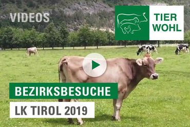 video_substart_Bezirksbesuche_2019_alle © LK Tirol