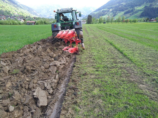 Die Fläche wurde mit einem Pflug umgebrochen. Anschließend wurde der Boden noch mit einer Fräse bearbeitet. © Schwaiger Die Fläche wurde mit einem Pflug umgebrochen. Anschließend wurde der Boden noch mit einer Fräse bearbeitet. © Schwaiger