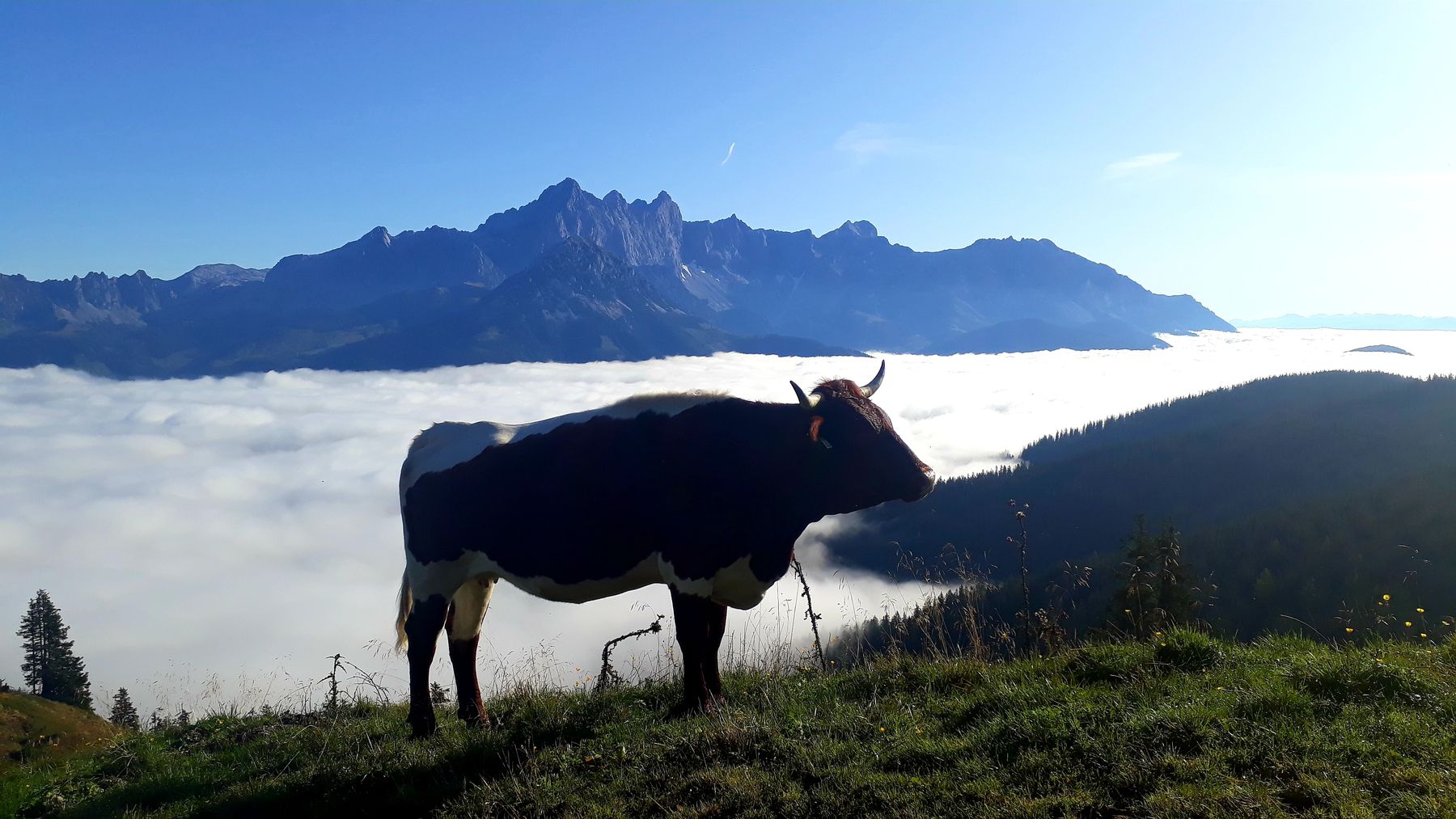 © Salzburger Bauer/Huber © Salzburger Bauer/Huber