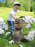 Christoph mit einem Murmeltier auf der Bachlalm in Filzmoos © Salzburger Bauer/Buchsteiner