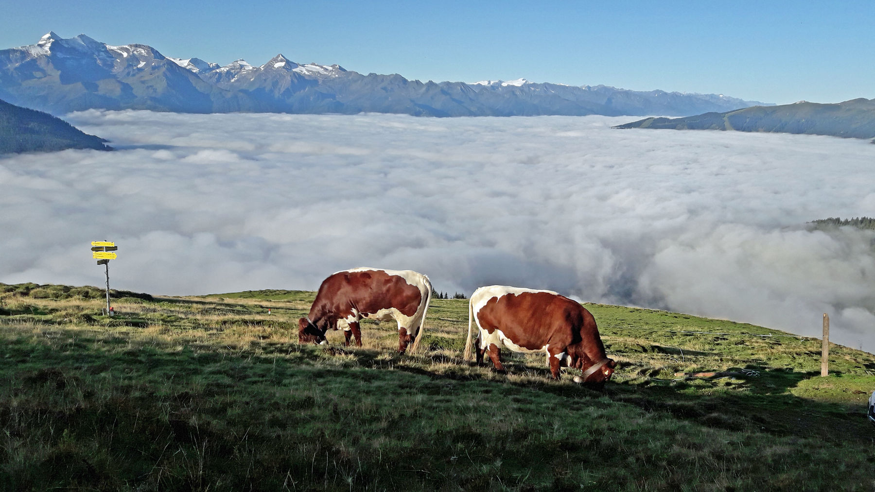 © Salzburger Bauer/Brunner © Salzburger Bauer/Brunner