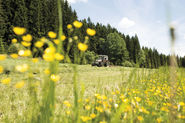 Programmfoto 9 - Biodiversität.jpg