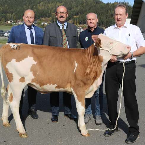 Landwirtschaftskammer (DI Vuk) und Burgenländischer Rinderzuchtverband (Ing. Lehner und Ing. Lang) gratulieren dem Züchter Otmar Huber zum Verkaufserfolg für die Kalbin Gusti Pp*. © Ing. Lehner