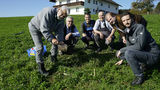 Der Schwarzkopfregenwurm hat sich am Betrieb Huber über die gesamten 18 Hektar Grünland ausgebreitet  © LK Salzburg/Dürnberger