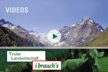 videos_substart_Tiroler_Landwirtschaft_i_brauchs © LK Tirol
