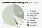 BEI DER BESAMUNG mit einer Fleischrasse konnte ein starker Zuwachs verzeichnet werden. Fleischstiere werden sowohl bei Fleisch- als auch bei Milchviehberieben eingesetzt. © Grafik