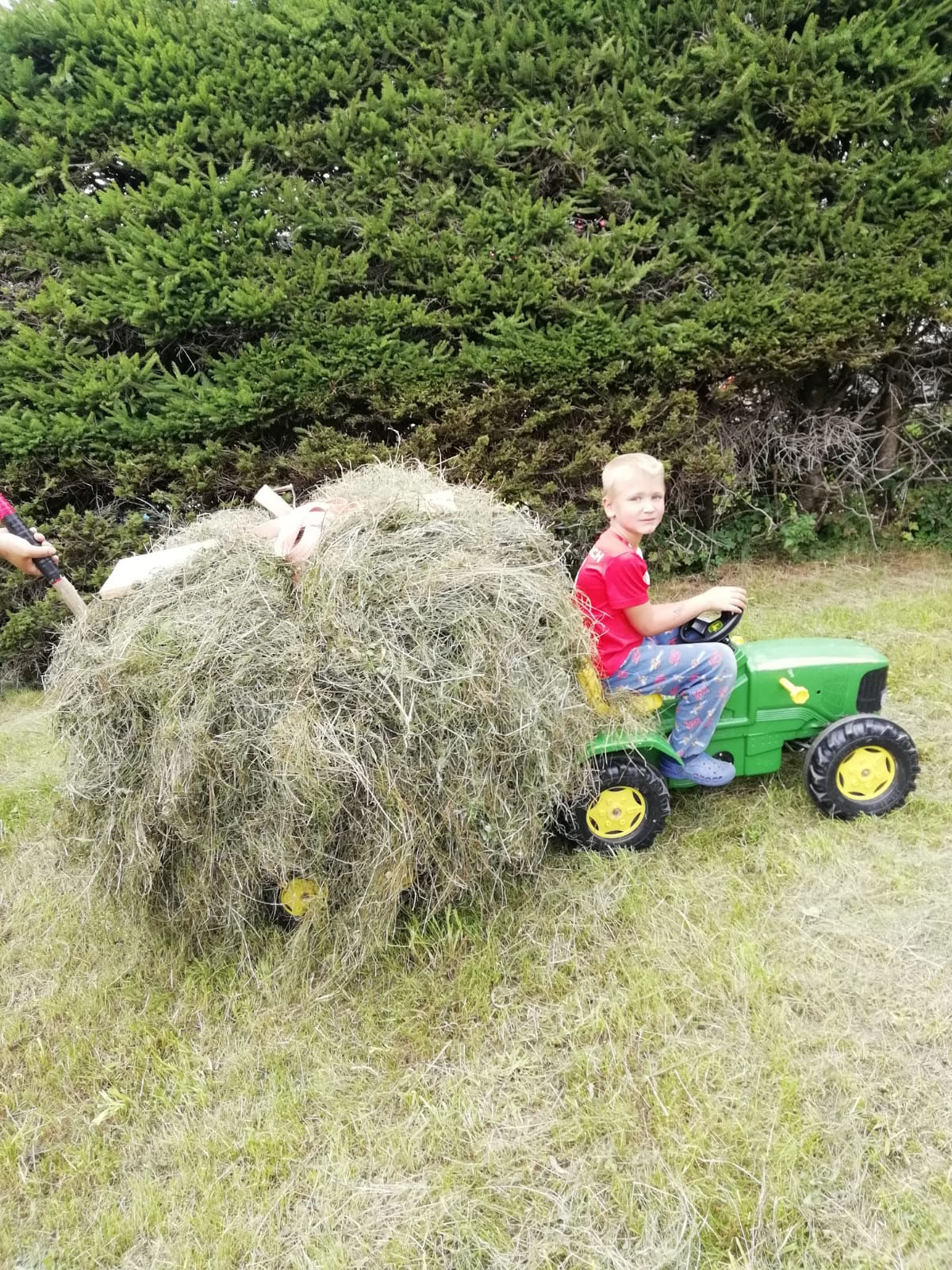 Mein Bild.jpg © Salzburger Bauer/Herzog Mein Bild.jpg © Salzburger Bauer/Herzog