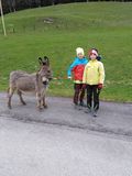 Mein Bild.jpg © Salzburger Bauer/Unterreit Mein Bild.jpg © Salzburger Bauer/Unterreit