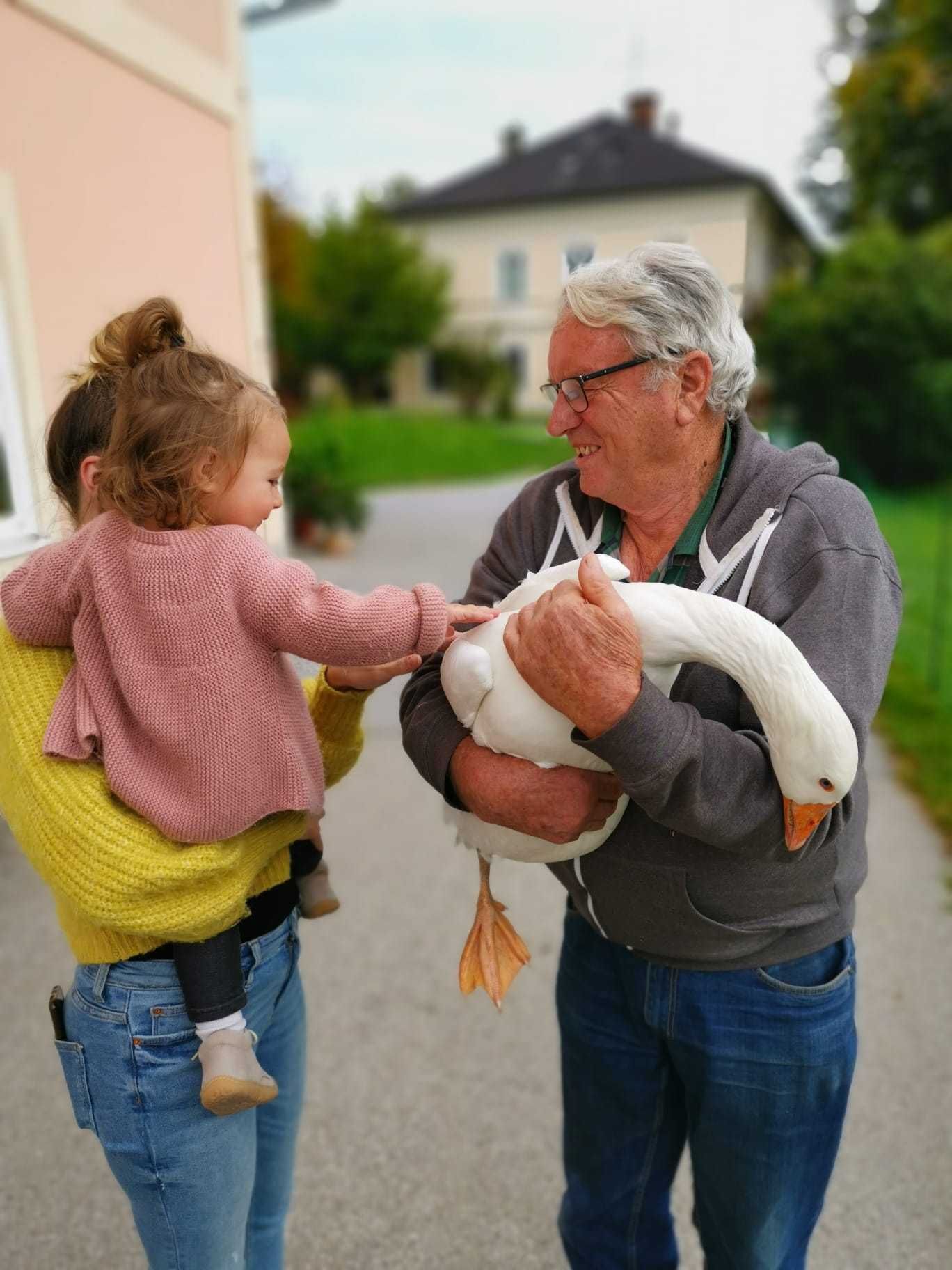 Mein Bild.jpg © Salzburger Bauer/Rettenwender Mein Bild.jpg © Salzburger Bauer/Rettenwender