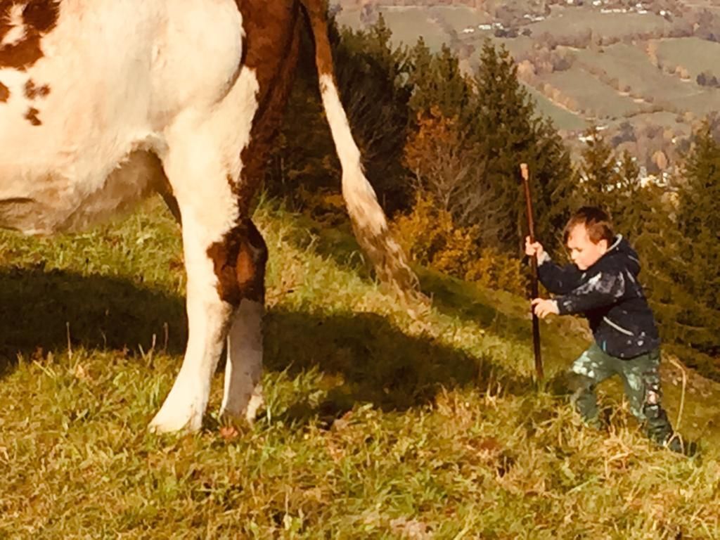 Mein Bild.jpg © Salzburger Bauer/Katsch Mein Bild.jpg © Salzburger Bauer/Katsch