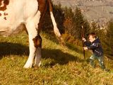 Mein Bild.jpg © Salzburger Bauer/Katsch Mein Bild.jpg © Salzburger Bauer/Katsch