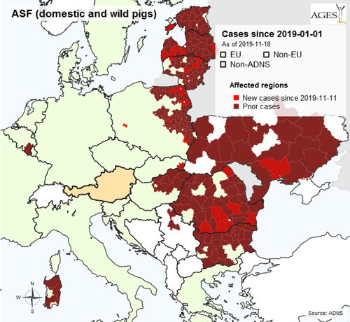 Afrikanische Schweinepest (ASP) – aktuelle Entwicklungen Afrikanische Schweinepest (ASP) – aktuelle Entwicklungen