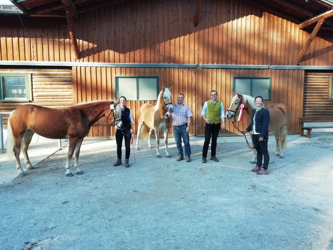 Haflingerstuten Oberalm .jpg © Hirschbichler Haflingerstuten Oberalm .jpg © Hirschbichler