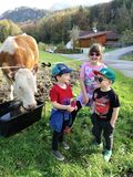 Mein Bild.jpg © Salzburger Bauer/Sattlberger Mein Bild.jpg © Salzburger Bauer/Sattlberger