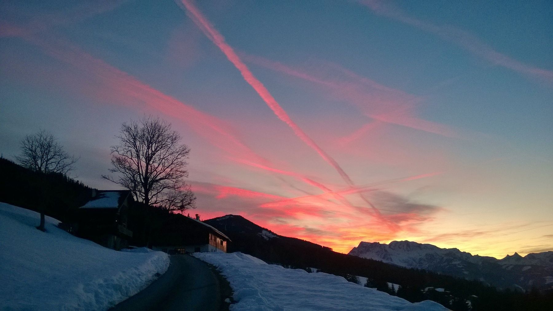 Mein Bild.jpg © Salzburger Bauer/Gradinger Mein Bild.jpg © Salzburger Bauer/Gradinger