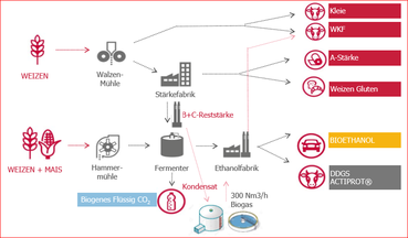 Schematische Darstellung der Produktionsanlage.png