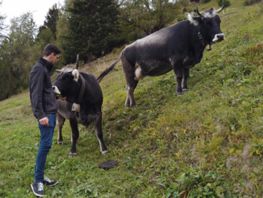 Tierwohlpreis_2019_Nigg (1).png © LK Tirol/Gratl Tierwohlpreis_2019_Nigg (1).png © LK Tirol/Gratl