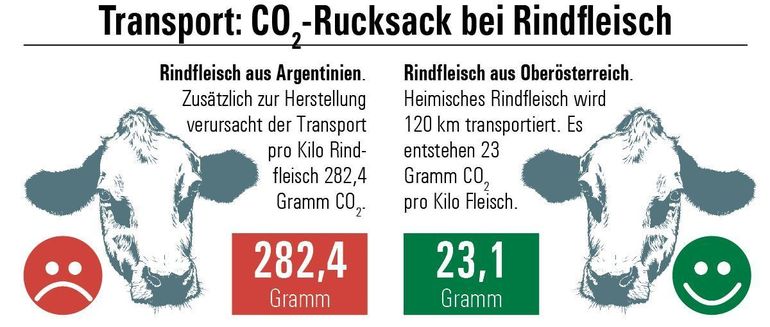 Transport CO2 Rucksack bei Rindfleisch.jpg